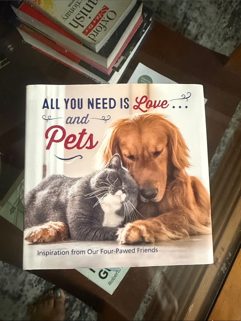 All You Need Is Love and Pets - Inspiration from Our Four pawed Friends